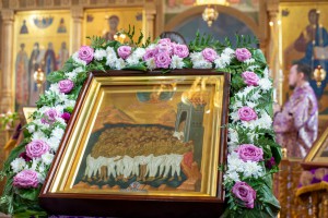 -Dz15TsZmnSlzZ  FF1m7JJXs-ICGJyhsUbyjCsj3tqAFePcOkVmHBtxbD00KIyw8LI3DvT46xs5yeR9-ME6tAuu